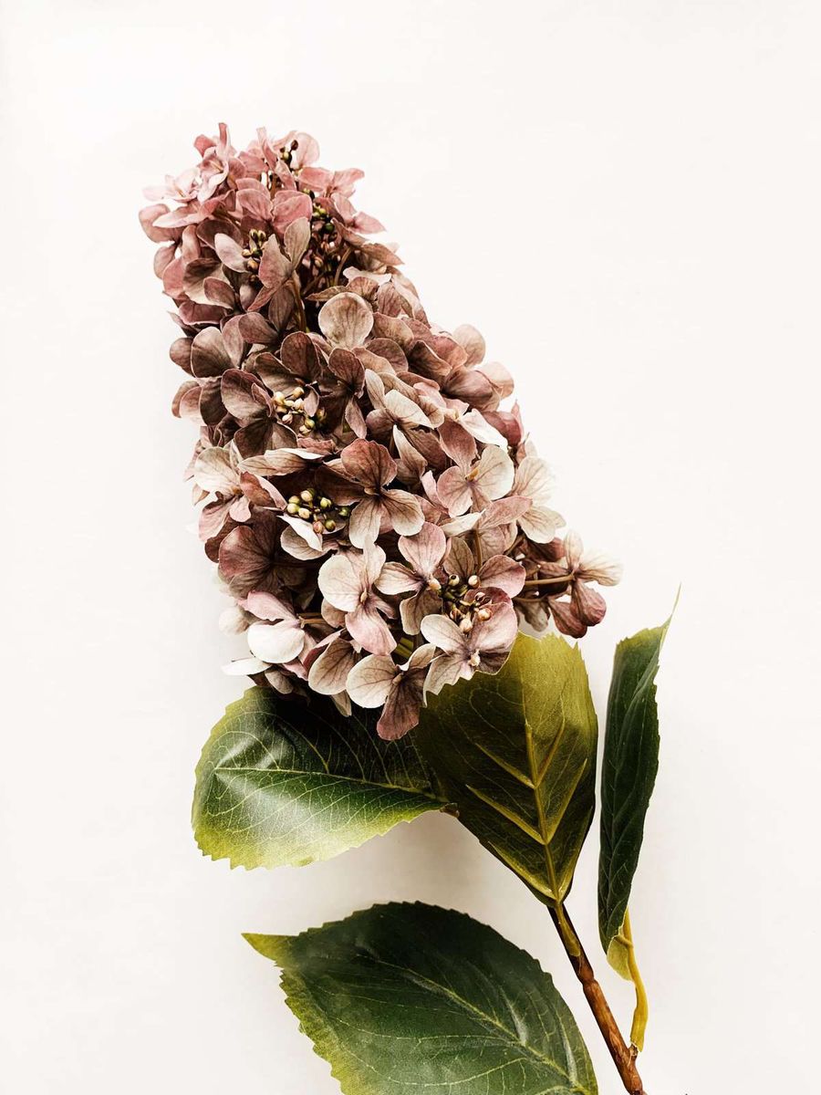 Syrinhortensia 83 Cm Støvet Lilla